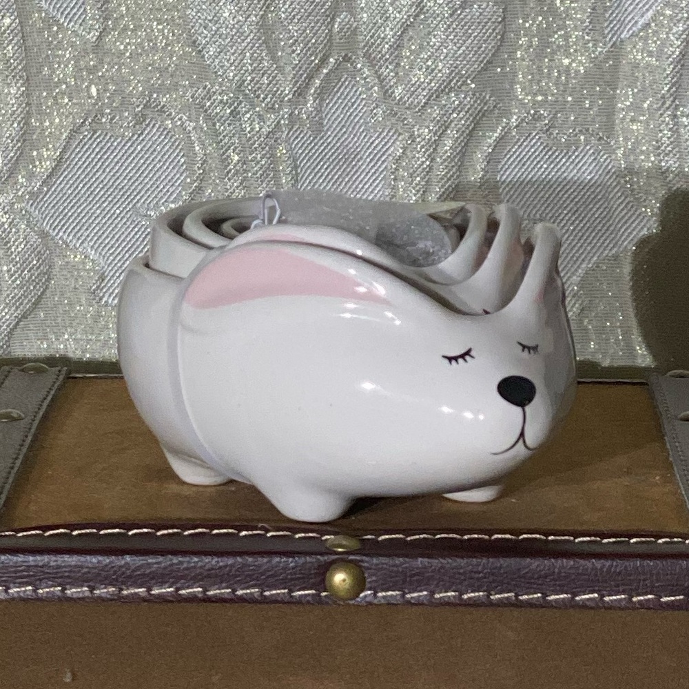 ⚡️Arlington Designs Bunny Measuring Cups